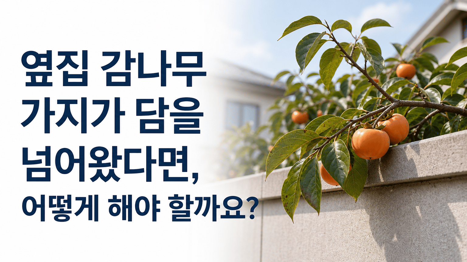 옆집 감나무 가지가 담을 넘어왔다면, 어떻게 해야 할까요?을 시각화한 대표 이미지